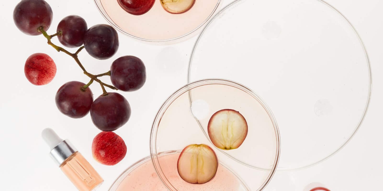 Tudományos kutatás a szőlőmag termékekről